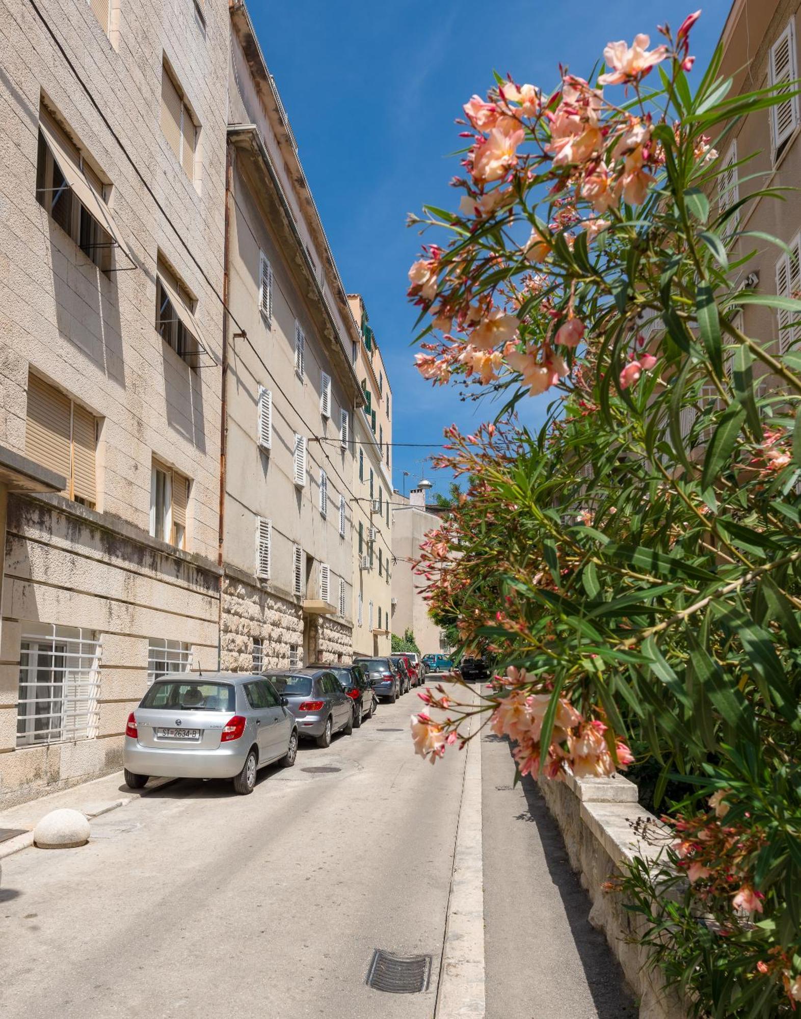 Luxury Rooms And Apartment Silente Bacvice Split Exterior photo